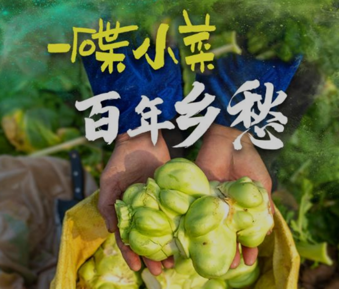 重庆涪陵:一碟小菜 百年乡愁