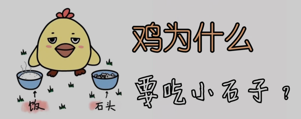 QQ截图20230205171238.png