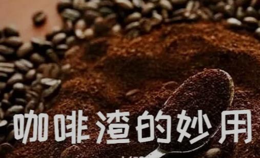 咖啡渣在生活中另外9个小妙用