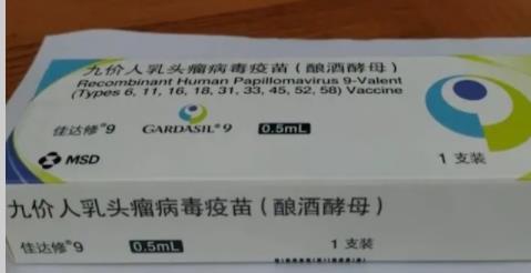 国产九价HPV疫苗何时可上市?