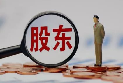 什么是法人股东?