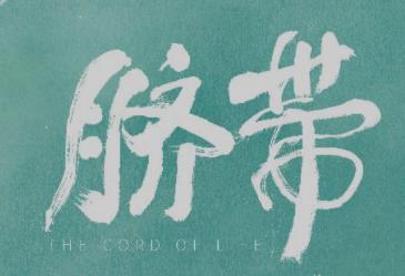 母子漫游草原暖心治愈,曹郁姚晨监制电影《脐带》曝“爱有回响”片段