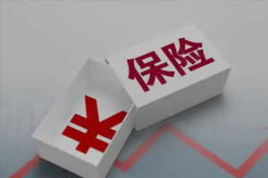 团险是什么险种?有哪些种类?