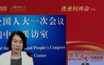 全国人大代表董明珠:要做对社会有价值的企业
