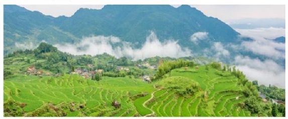 丽水特产,丽水的景点