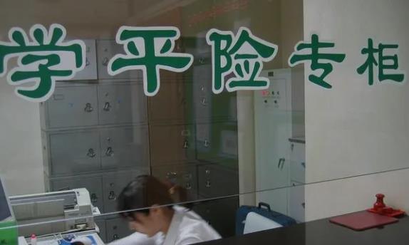 人寿学平险报销范围和额度?