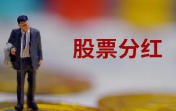 分红的会计分录怎么做?