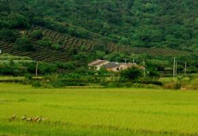 西山旅游攻略 苏州西山必去景点排名
