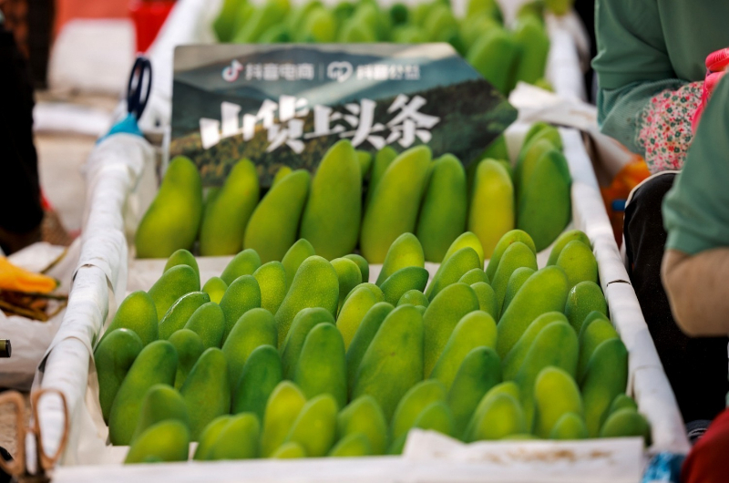 抖音电商“山货上头条”助力海南农特产销售 芒果销量同比增长1370%