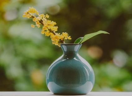 康熙青花翠毛兰 康熙青花翠毛蓝特点