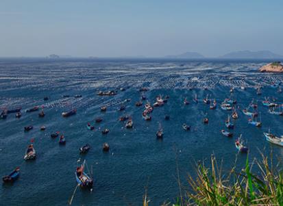 枸杞岛的位置 枸杞岛在哪里
