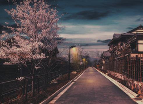 北海道樱花几月开 北海道樱花什么时候开
