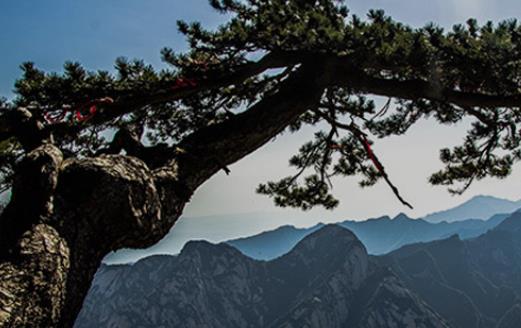 奇险天下第一山指的是那一座山 奇险天下第一山是什么山
