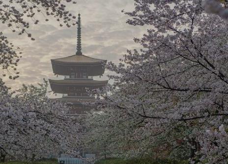 推荐湖州市春季赏花好去处 湖州市春季赏花去哪里