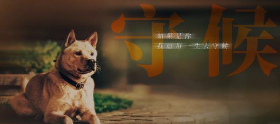 微信截图_20230410234032.jpg
