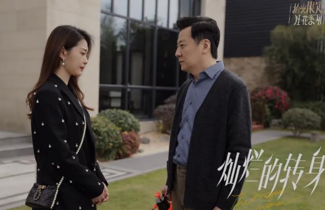《灿烂的转身》苏菲为什么流产