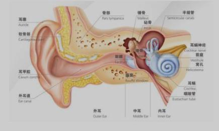 微信截图_20230413234936.jpg