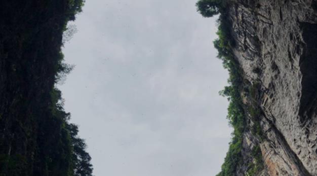 微信截图_20230421102225.jpg