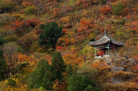 北京香山什么时候去好