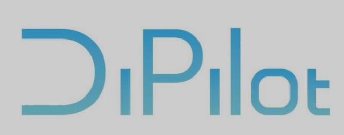什么是DiPilot