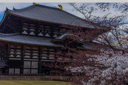 奈良公园在哪 奈良公园在哪个国家旅游攻略