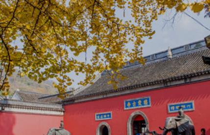 南京栖霞山枫叶什么时候红 南京栖霞山枫叶几月份红