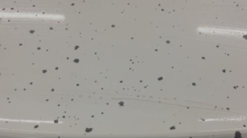 汽车上干水泥浆了怎么清除