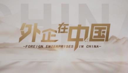 玫琳凯:深耕中国市场,让更多女性享受数字时代红利