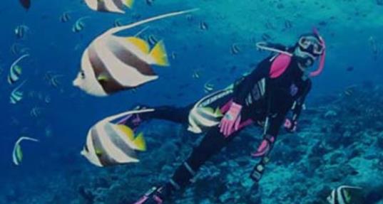 泰国哪些海岛可以潜水 泰国可以潜水的海岛有哪些