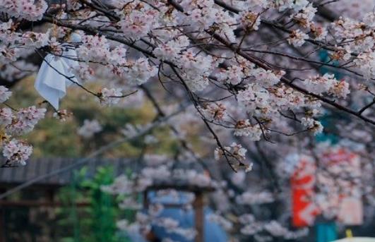 微信截图_20230514022210.jpg