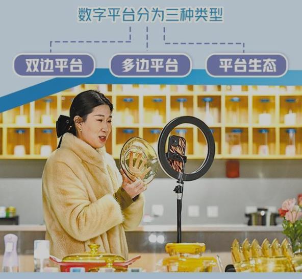 平台经济支撑高质量发展