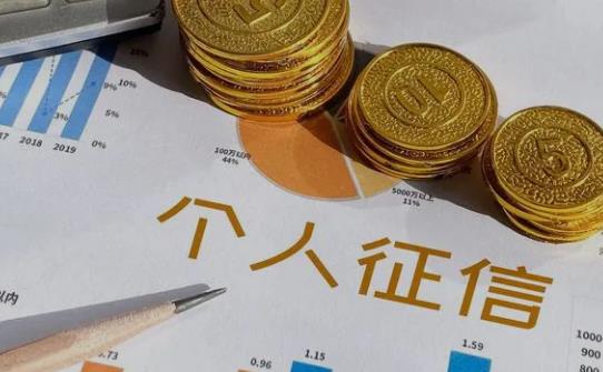 征信代偿是什么意思?